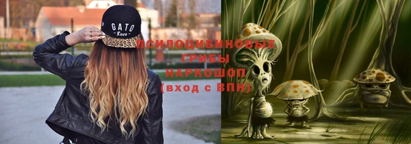 PSILOCYBIN Горняк