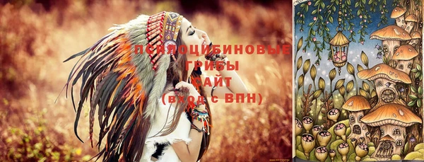 дживик Горнозаводск