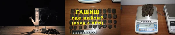 PSILOCYBIN Горняк