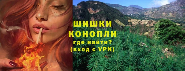 МДПВ Горно-Алтайск