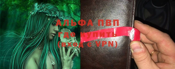 PSILOCYBIN Горняк