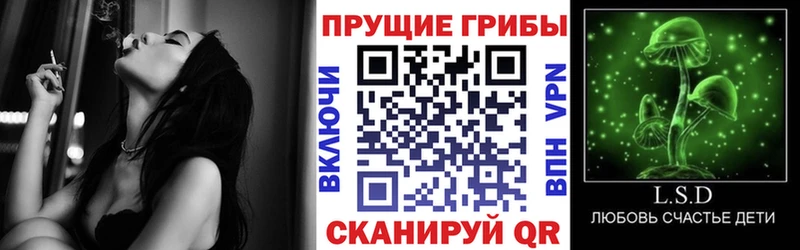 где купить наркоту  Михайлов  Галлюциногенные грибы мицелий 